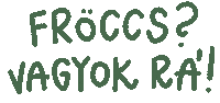 magyar_bor buli parti nyar bor Sticker