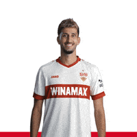 Celebration GIF by VfB Stuttgart