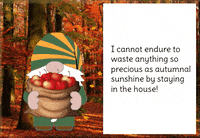 Gnome GIF