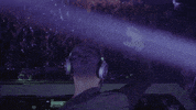 tiesto gif GIF by Tiësto