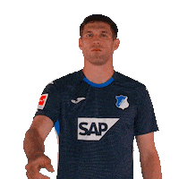 Sport Bundesliga Sticker by TSG Hoffenheim