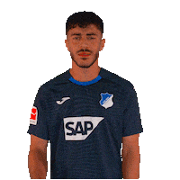 Bundesliga Finger Sticker by TSG Hoffenheim