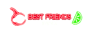 Best Friends Party Sticker by SVEDKA