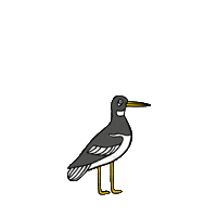 Bird Sarcsasm Sticker