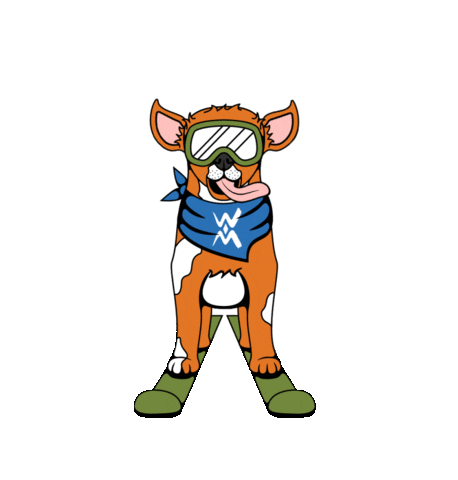 Windham_Mountain giphyupload snow doggo ski Sticker