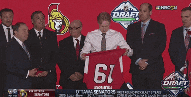 ice hockey sport GIF by NHL