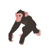 Chimpanzee Forester Sticker