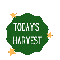 Plant Garden Sticker by Monsterasaur