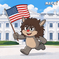 American Usa GIF