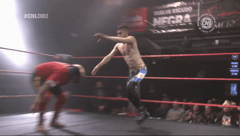 Fight Wrestling GIF by CNL Chile
