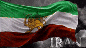 Iran Flag GIF