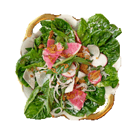 Diet Salad Sticker by Major Food Group