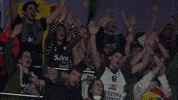 liga endesa basketball GIF by ACB