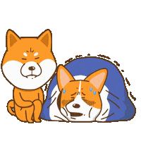 Corgi Shiba Sticker