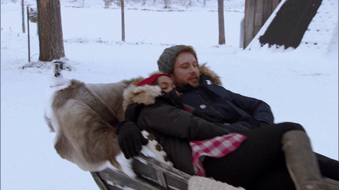 the bachelor reindeer GIF by ABC Network
