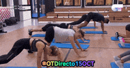 ot 2018 GIF by Operación Triunfo