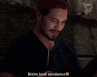 Cagatay Ulusoy Cat GIF