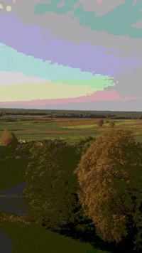 Eryk_Kmiecik rain skull eryk kmiecik kmiecik art GIF