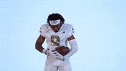 Georgia Tech Football Sport GIF by Georgia Tech Yellow Jackets