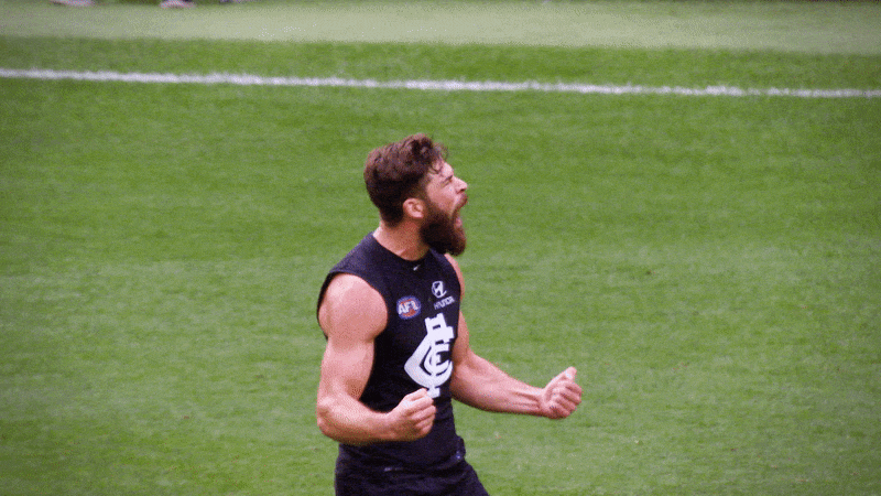 carlton fc celebration GIF by Carlton Football Club
