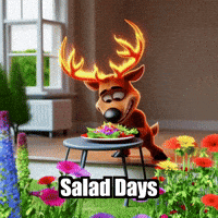 Salad Days Summer GIF by elkijahspark