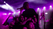 burger beach bash made by fatty gribble GIF
