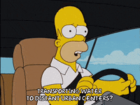 Episode 8 GIF by The Simpsons