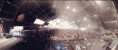 GIF by Ultra Music Festival