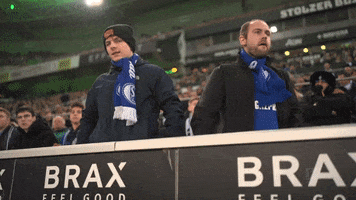 Football No GIF by FC Schalke 04