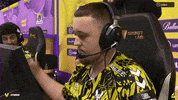 Esports Vitality GIF by BLAST