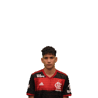 flamengoesports flamengo vapo flaesports flamengo esports Sticker