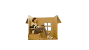 Box Sticker by Evan Klar