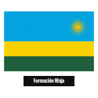 Flag Pixel Art Sticker by Formación Ninja
