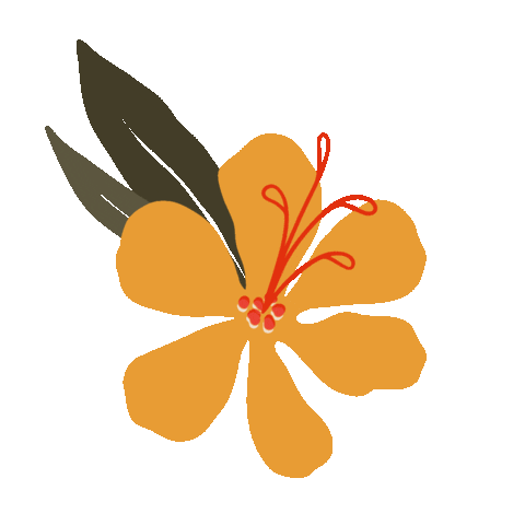 DelilahtheGemini giphyupload flower tropical hawaii Sticker