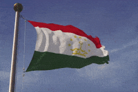 Central Asia Flag GIF