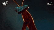 National Geographic Bug GIF by Nat Geo Wild