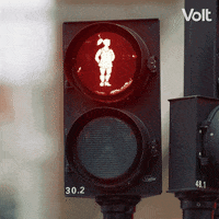 Verkiezingen Stemvolt GIF by VoltNL