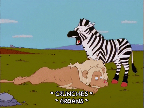 Episode 5 Lion GIF by The Simpsons