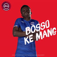 south african soccer GIF