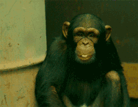 Oh My God Reaction GIF by MOODMAN