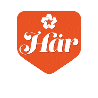 Luleaenergi luleåenergi luleå energi här orange Sticker