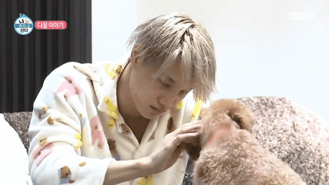 unnie_ru giphyupload exo kai GIF