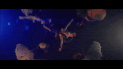 all that jazz dancing GIF by Chicago The Musical