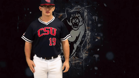 GIF by Columbus State University Athletics