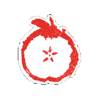 diskincider apple nashville hardcider nashvilletn Sticker