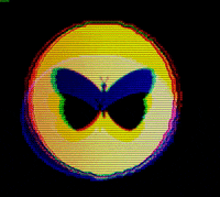 HiCurious hi community butterfly curious GIF