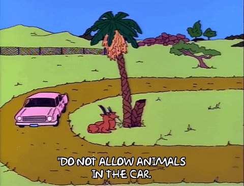 Driving Season 2 GIF by The Simpsons