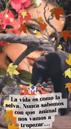 La Selva Flores GIF by Murcianys LLC