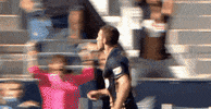 celebration GIF by Philadelphia Union
