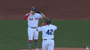 High Five Major League Baseball GIF by MLB